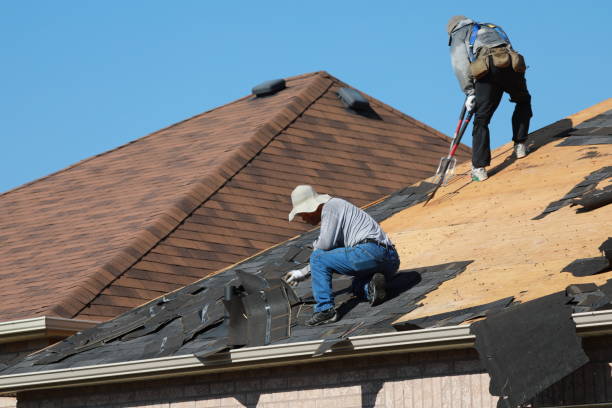 Best Sheet Metal Roofing  in Mcgaheysville, VA