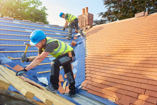 Best Roof Coating Services  in Mcgaheysville, VA